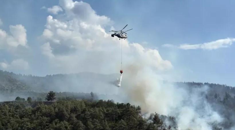 Sakarya yangını