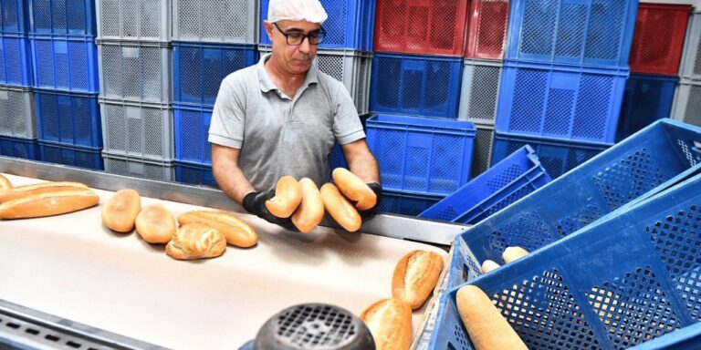 baskan zamma karsilik talimat verdi tanesi 20 lira oldu ama o 8 liraya satacak TlsAlJ3B