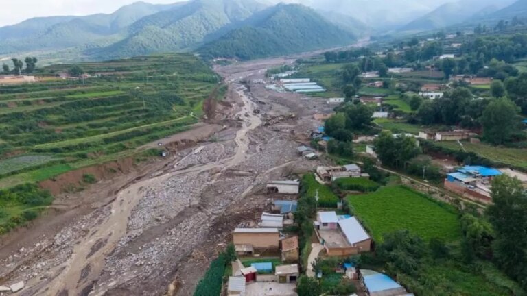 cinde sel faciasi 15 olu qz1Ysy2x