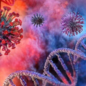 dunya alarm durumuna gecti chikungunya virusu nedir HsAzGLM2