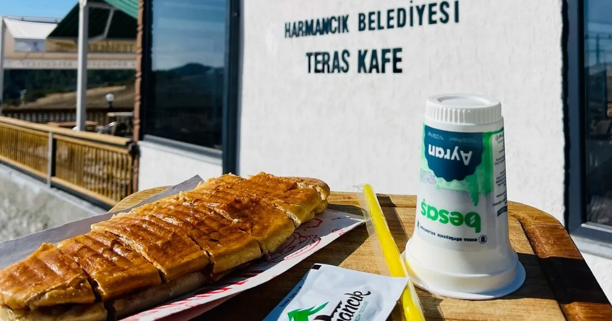 bursa harmancikta sosyal belediyecilik farki rKFxJ8iP