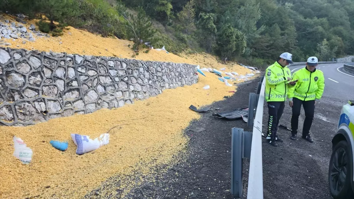 bursa inegolde hayvan yemi yuklu tir devrildi 2 agir yarali gipsA8xy