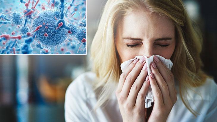 Salgınlar artıyor! Korunmanın anahtarı mikrobiyotamızda: Kışa girmeden 3 bilinçli adım