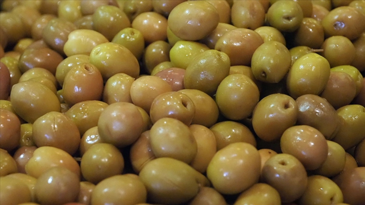 sofralik zeytin ihracatinda tarihi basari 255 milyon dolar SaFq51hP