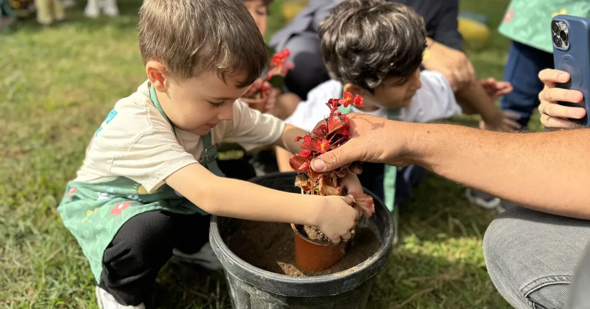 minik eller sakaryada umut ekti myWWEnpp.webp