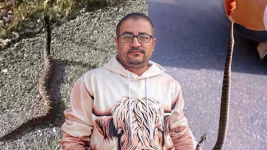 yer kutahya zehirli engerekle olum dansi ben bir delilik yaptim Im7RyrzG.jpg