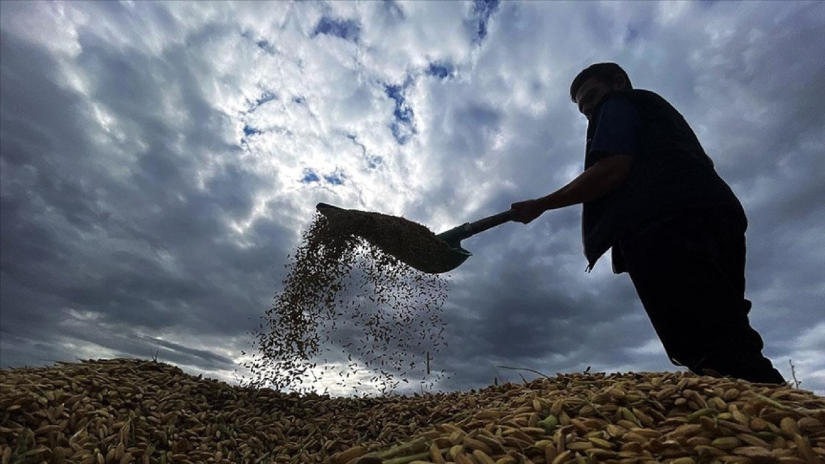 zirai don desteginde ureticilere 17 milyar lira daha odenecek vHbaVkZD.jpg