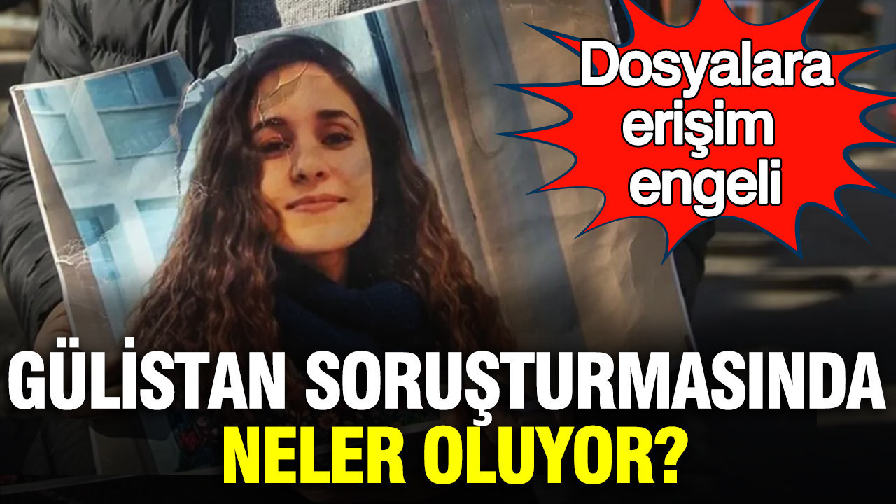 Gülistan Doku Soruşturmasında Erişim Engelleri ve Adalet Arayışı