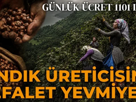 Avrupa 4 gunluk mesaiyi tartisirken karadenizde emege bicilen deger sefalet yevmiyesi 1101 tl xMa2ydlU