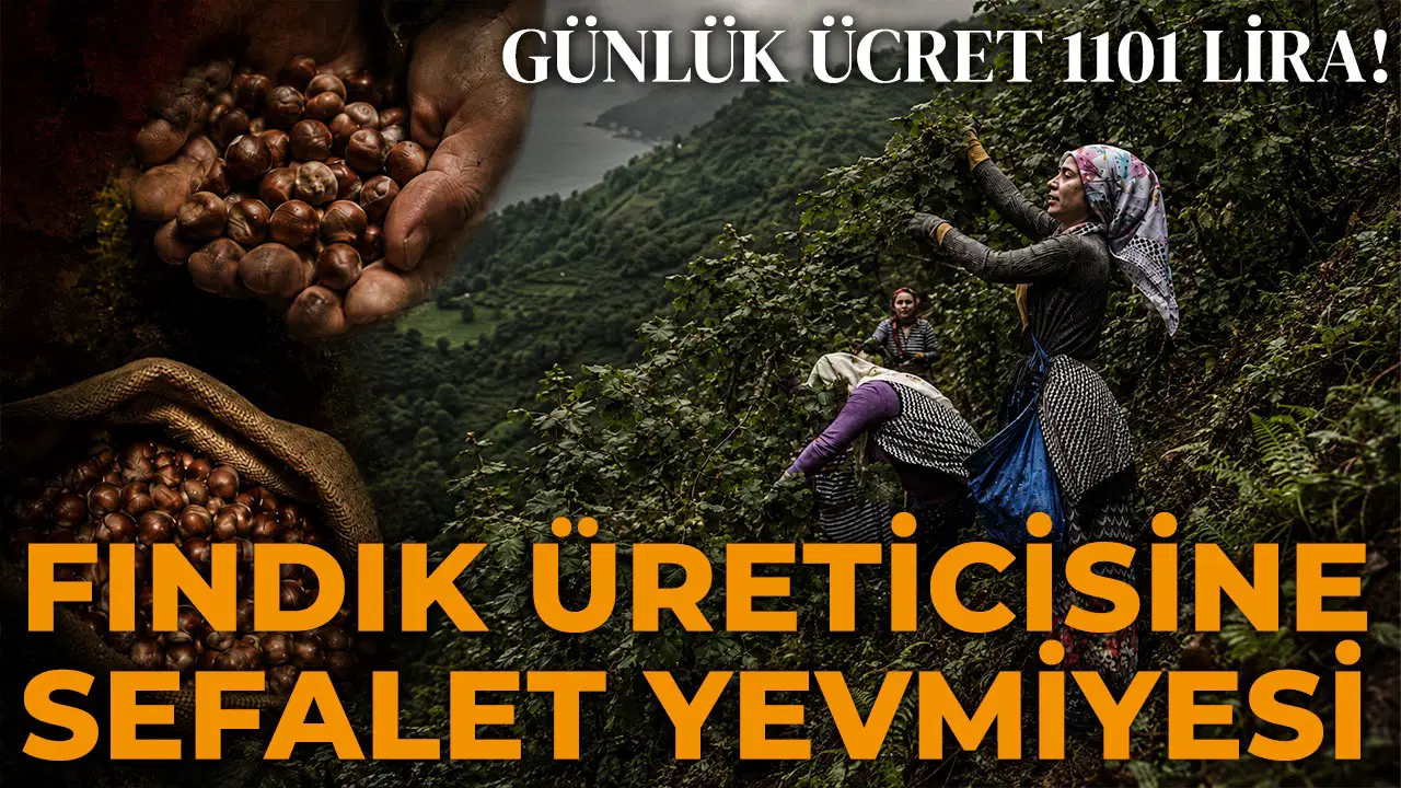Avrupa 4 gunluk mesaiyi tartisirken karadenizde emege bicilen deger sefalet yevmiyesi 1101 tl xMa2ydlU