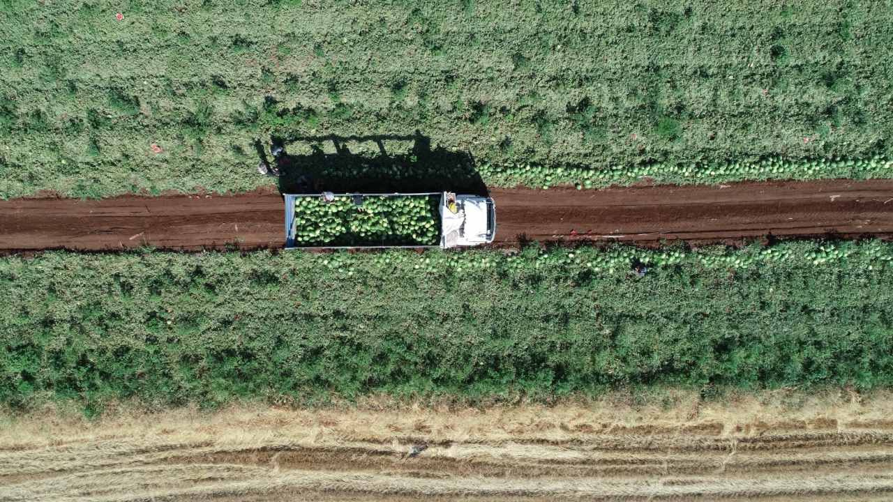 Hasadi suren urunun kilosu 10 liradan kapis kapis gidiyor KUFkPXNu