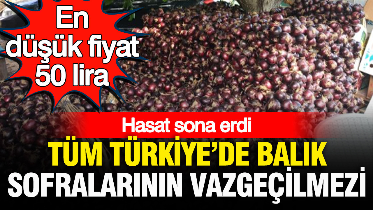 Turkiyenin her yerinde balik sofralarinin vazgecilmezi hasadi biten cografi isaretli soganda en dusuk fiyat V53KxFje